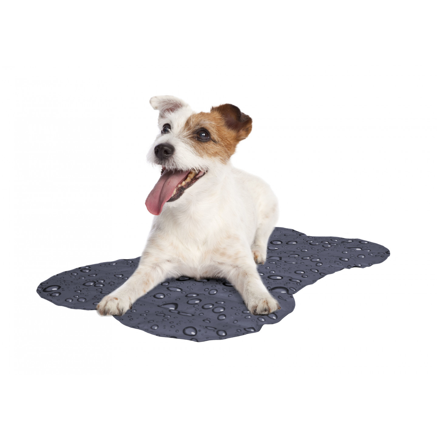 Tapis Rafraîchissant fresk dropos gris