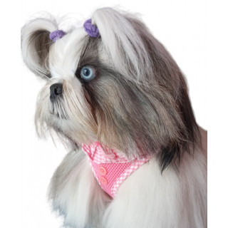 Harnais Rose vichy VIVIEN    PUPPIA