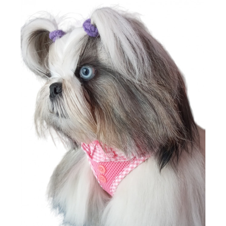 Harnais Rose vichy VIVIEN    PUPPIA