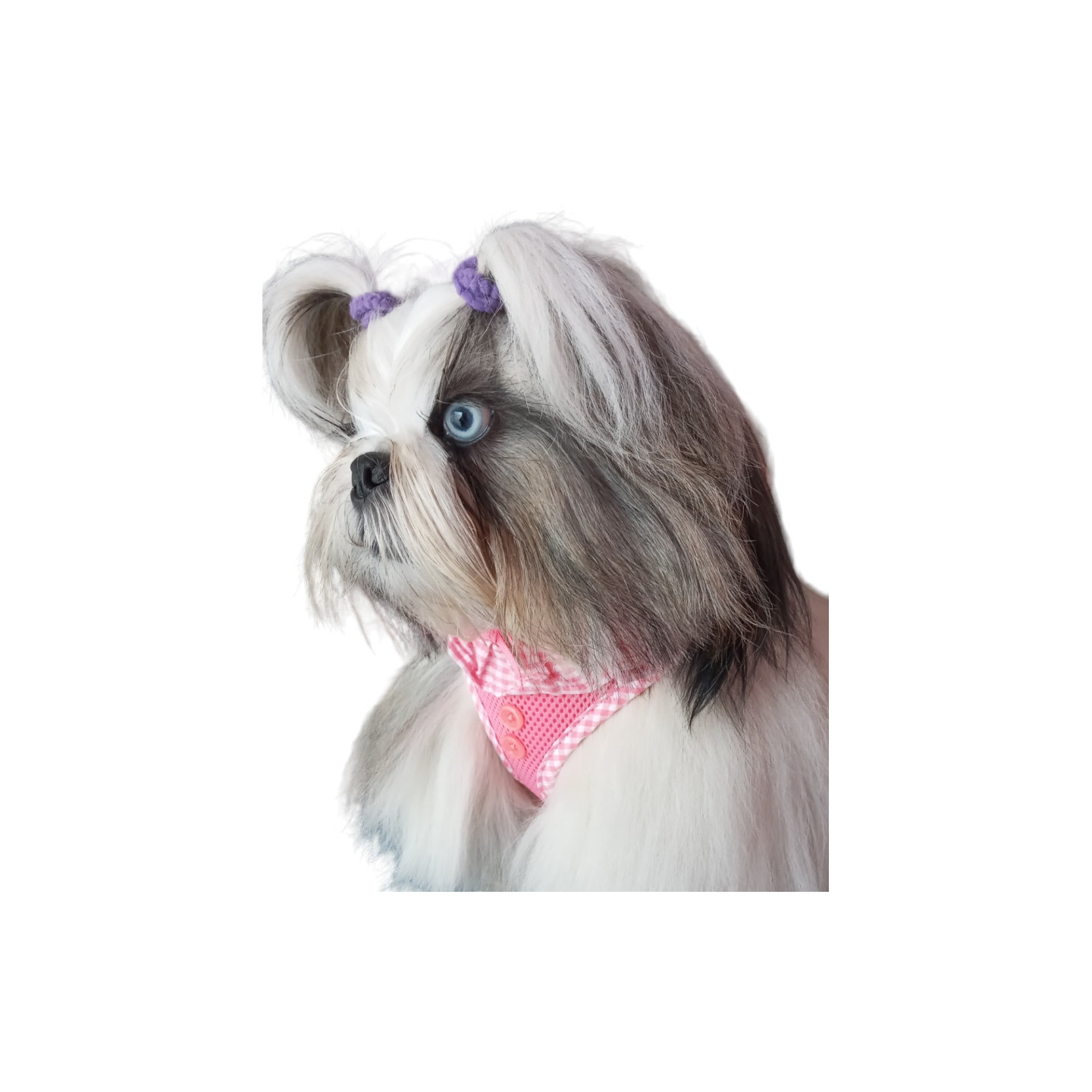 Harnais Rose vichy VIVIEN    PUPPIA