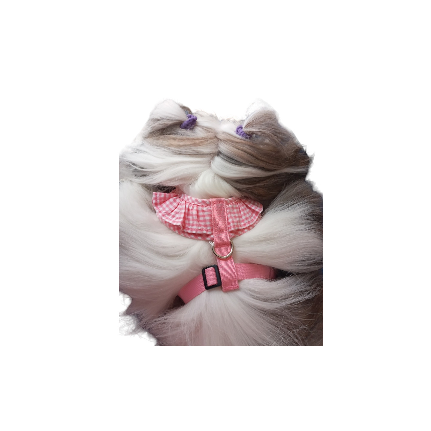Harnais Rose vichy VIVIEN    PUPPIA