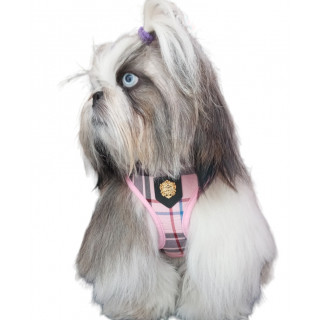 Harnais British rose  PUPPIA