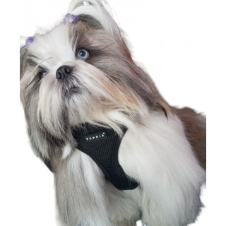 Harnais Ritefit  Noir    PUPPIA