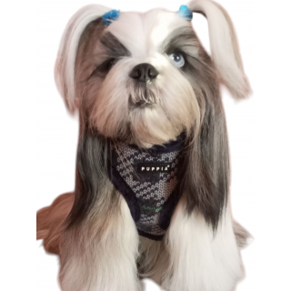 Harnais ELDRIC Bleu PUPPIA