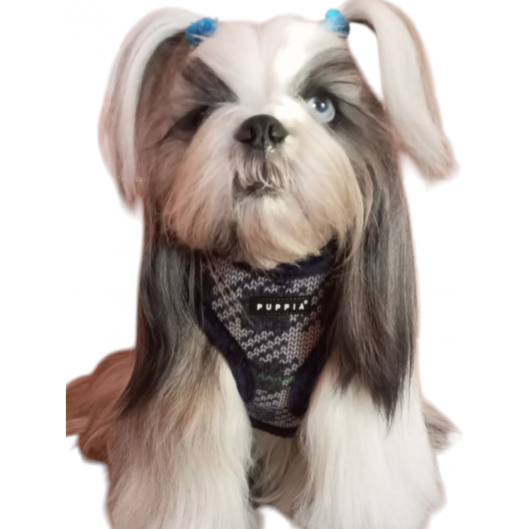 Harnais ELDRIC Bleu PUPPIA