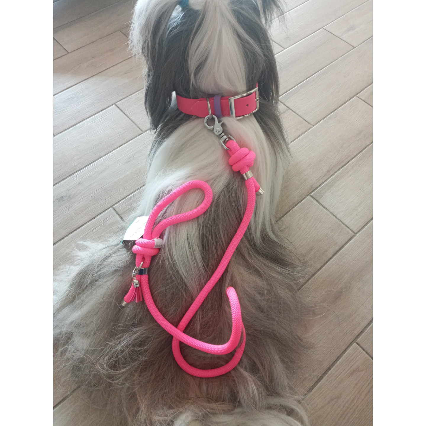 Collier en Biothane rose Pithaya et laisse (made in France)