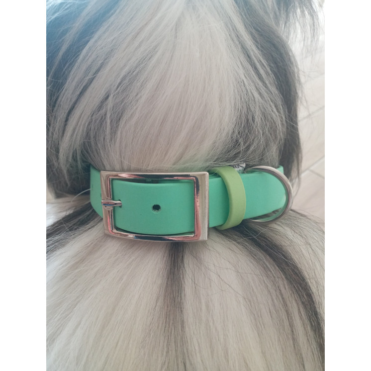 collier en biothane Menthe (Made in France)
