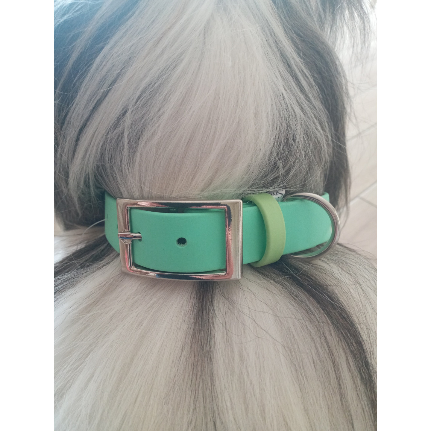 collier en biothane Menthe (Made in France)