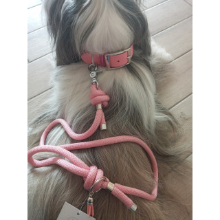 Ensemble collier en biothane rose Barbapapa  et laisse (Made in France)