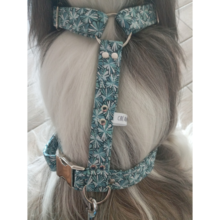 Ensemble Harnais et Laisse motif BLEU