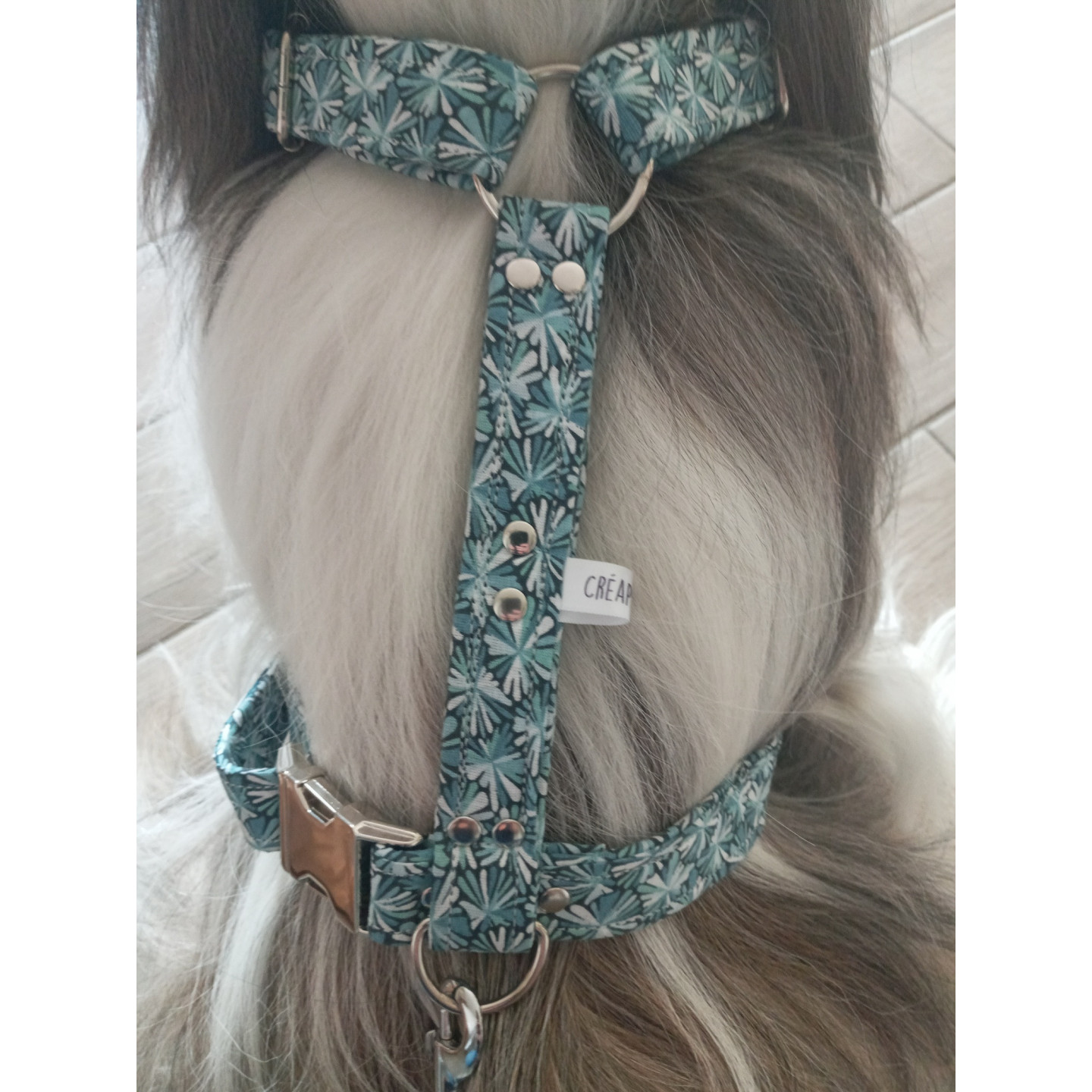 Ensemble Harnais et Laisse motif BLEU