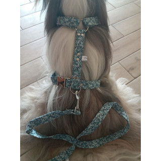 Ensemble Harnais et Laisse motif BLEU