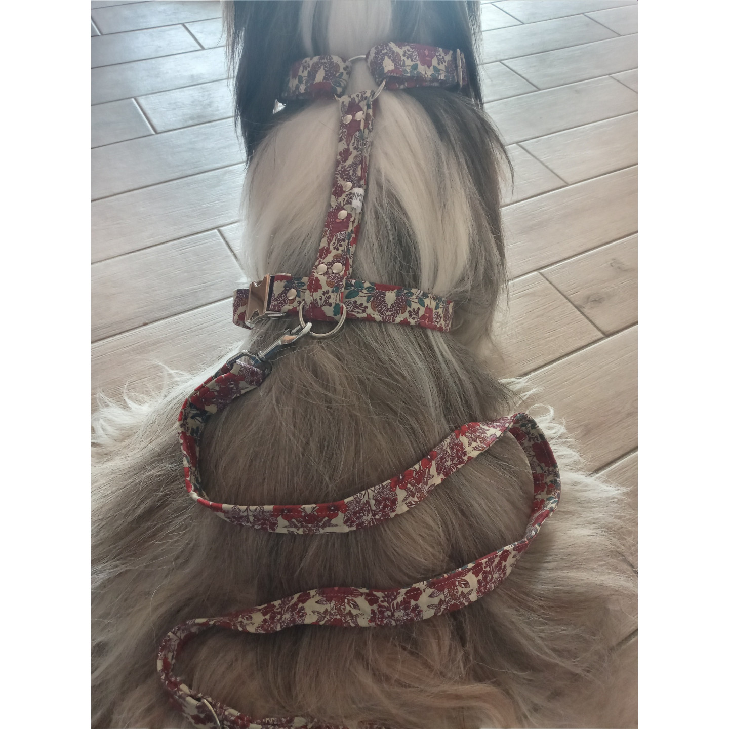 Ensemble Harnais et Laisse motif à fleurs rouges