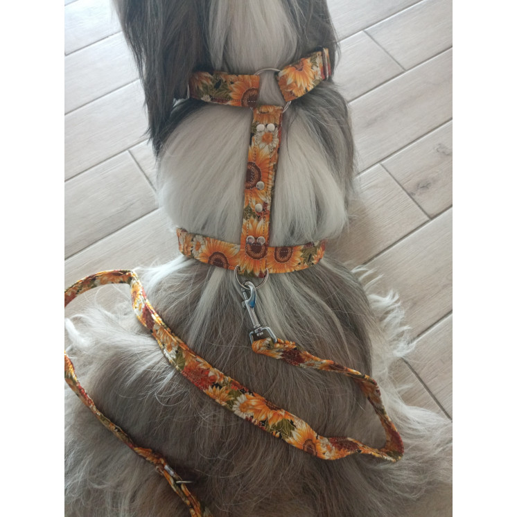 Ensemble Harnais et Laisse motif tournesol
