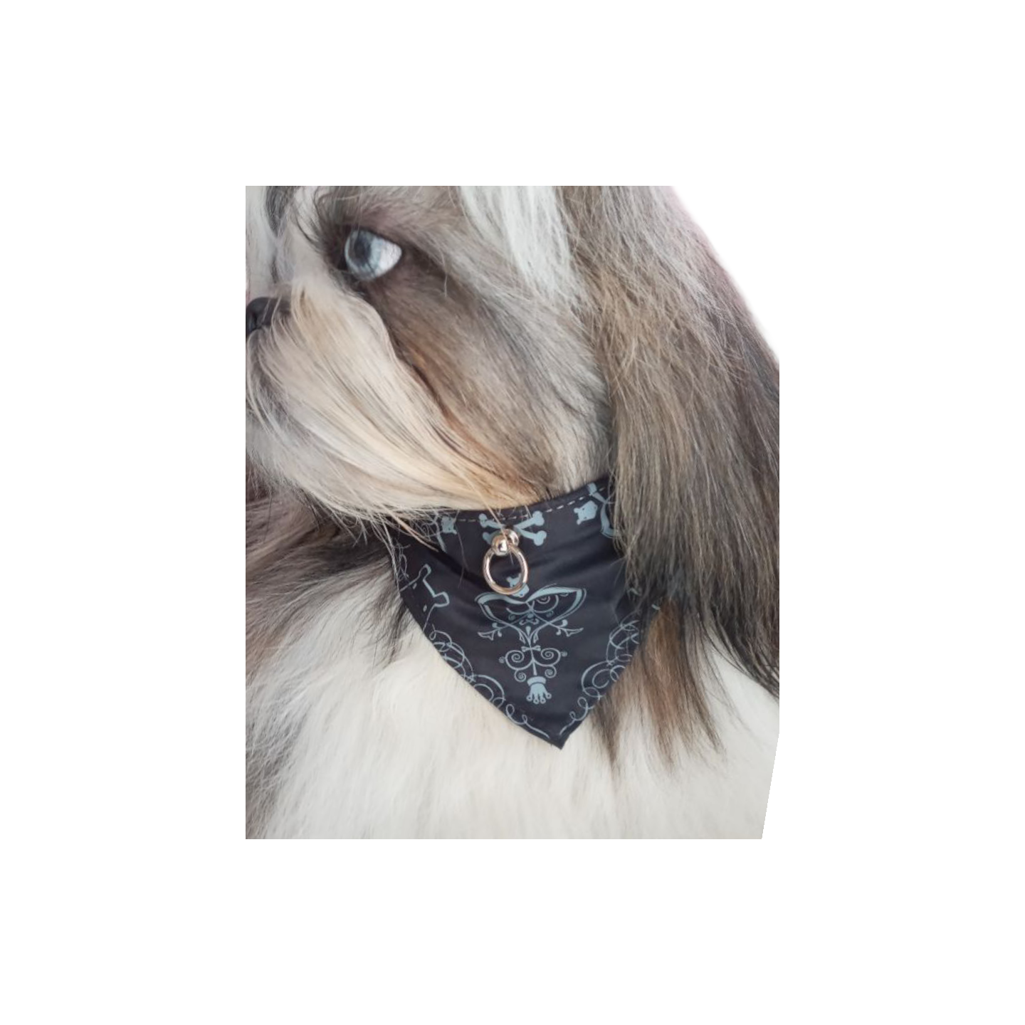 Collier Bandana Gris  DOOGY
