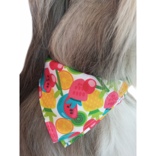 Bandana      CROCI