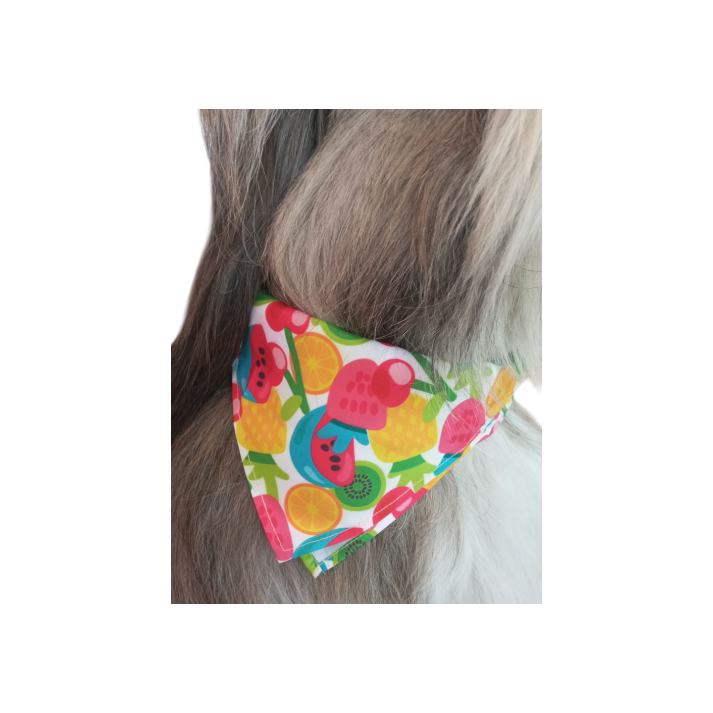 Bandana      CROCI