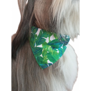Bandana   CROCI
