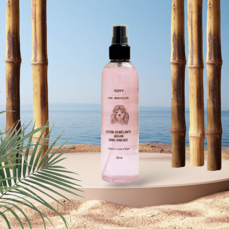 Lotion démêlante Argan sans rinçage