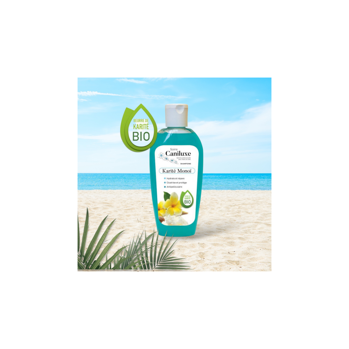 shampooing Bio  au monoi