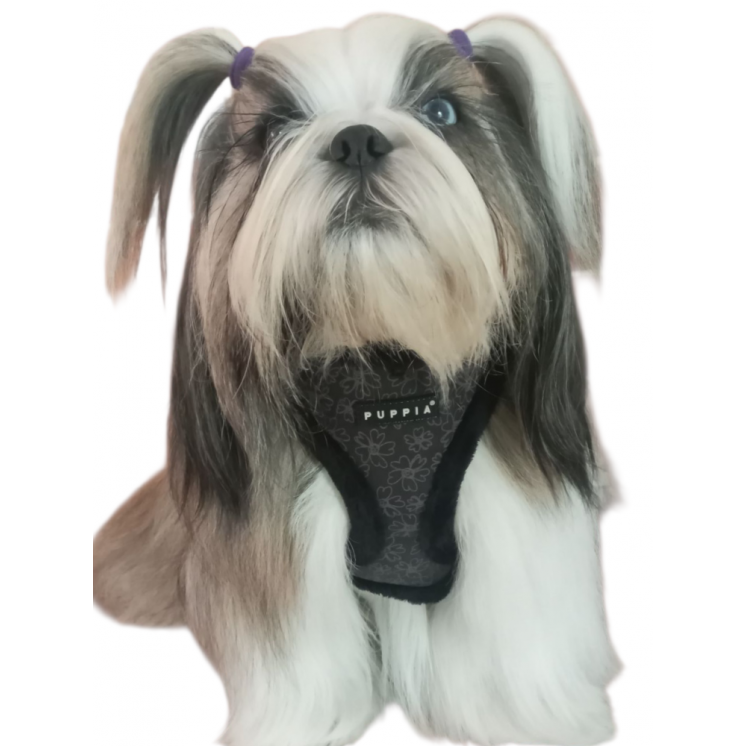Harnais réglable HEPATICA noir pour chiens- PUPPIA