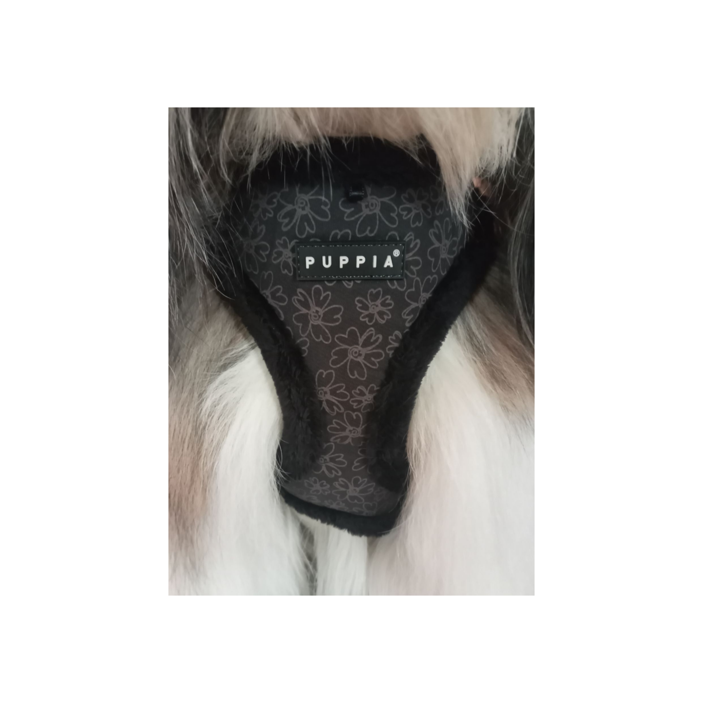 Harnais réglable HEPATICA noir pour chiens- PUPPIA