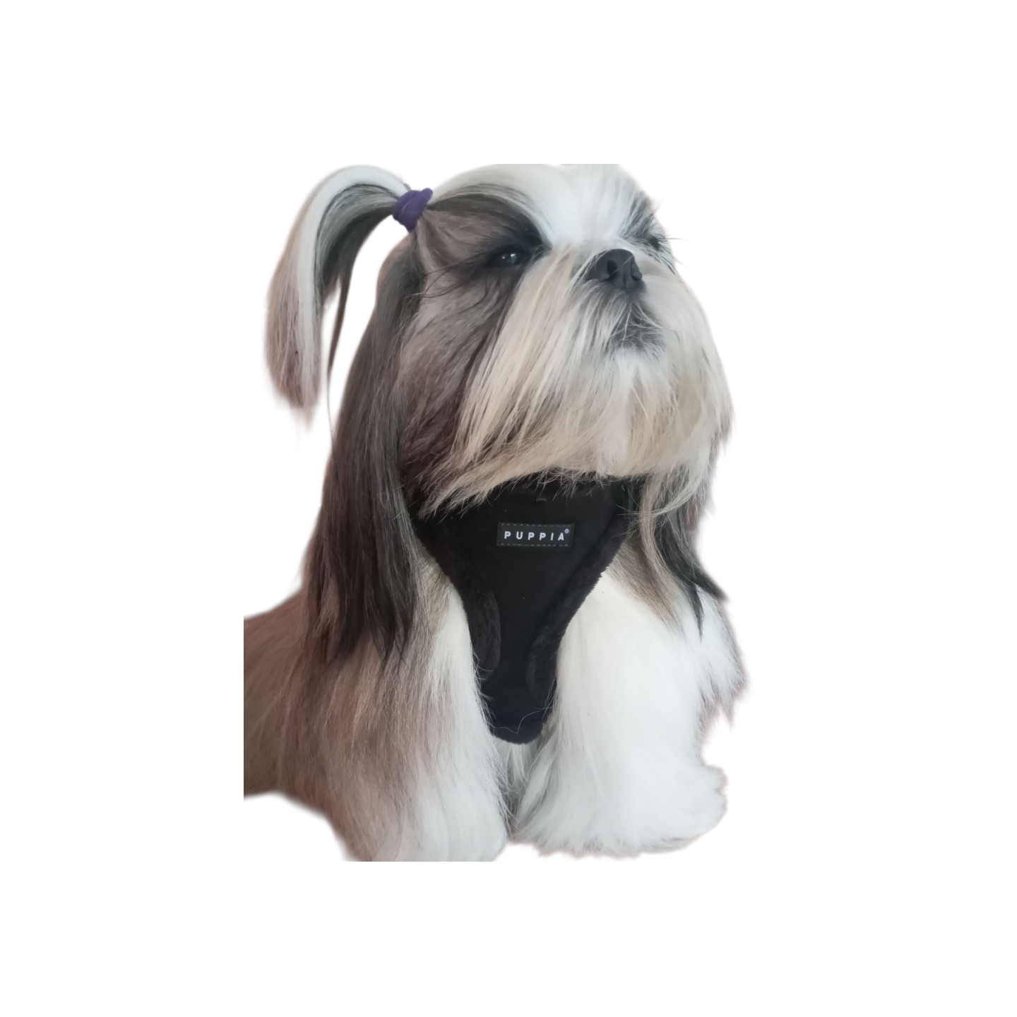 Harnais réglable TERRY PUPPPIA