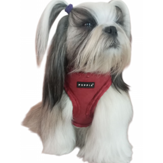Harnais réglable TERRY PUPPIA