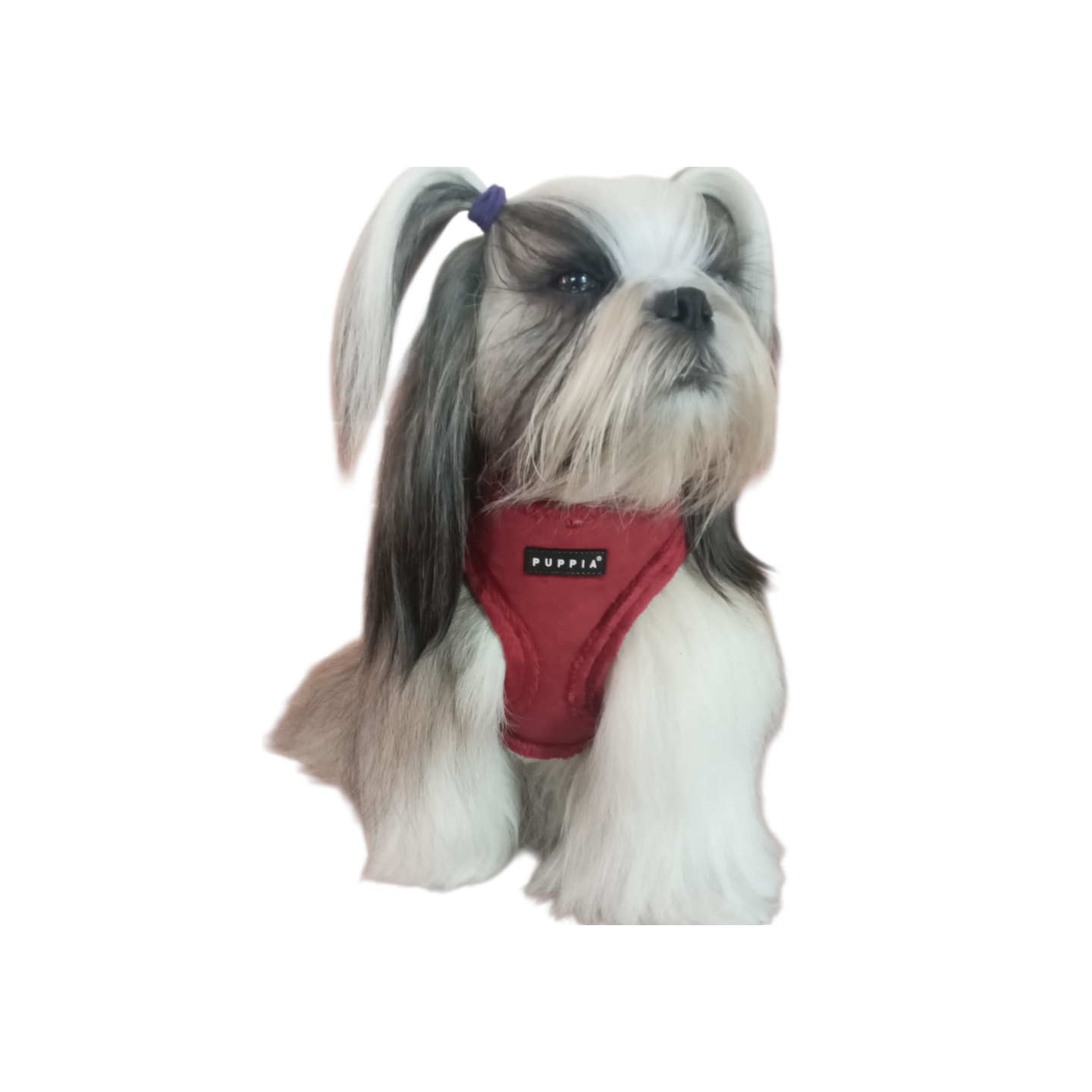 Harnais réglable TERRY PUPPIA