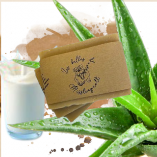 shampooing Savon Aloe Vera/ lait de chèvre