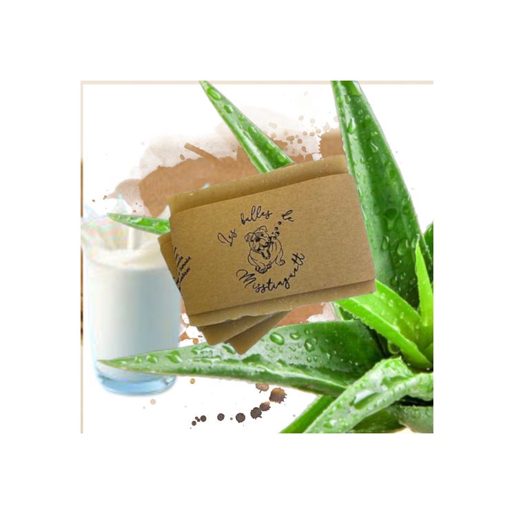 shampooing Savon Aloe Vera/ lait de chèvre