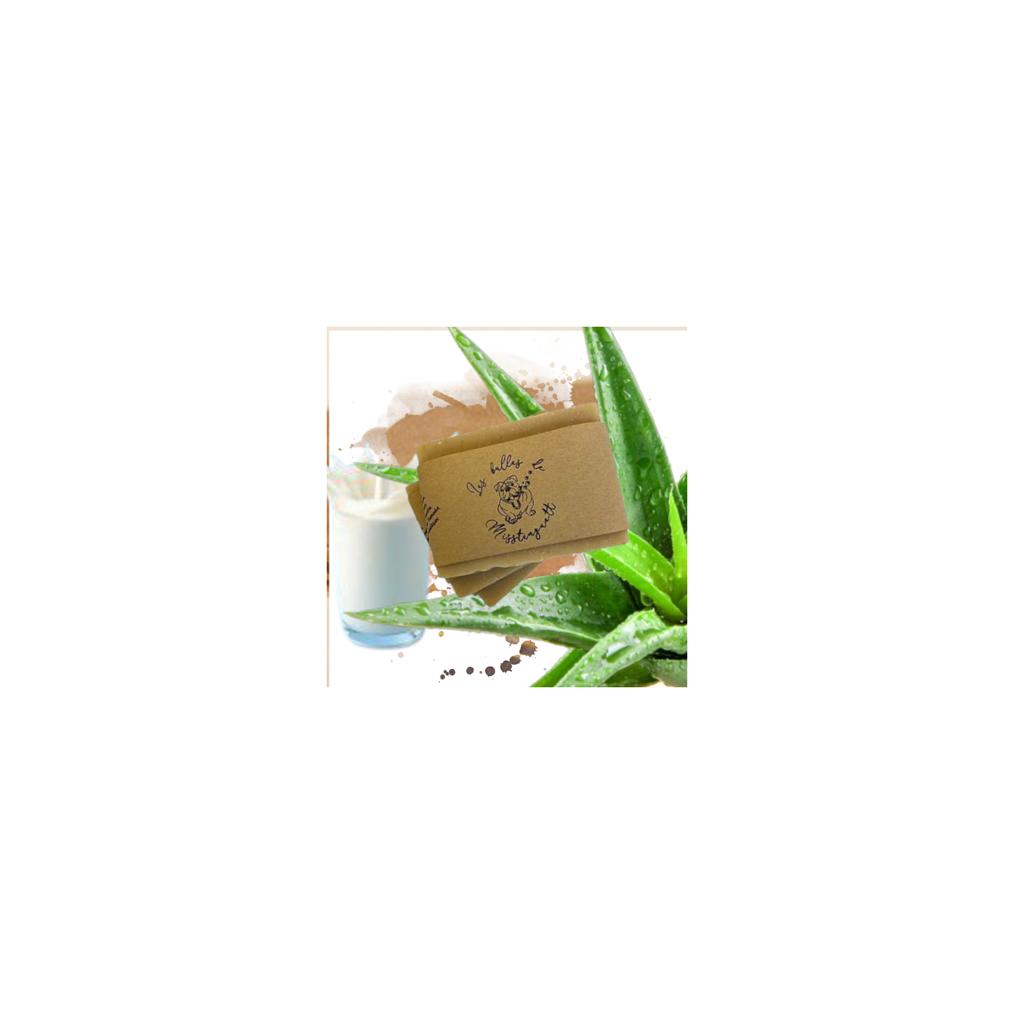 shampooing Savon Aloe Vera/ lait de chèvre