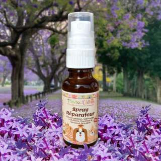 Spray réparateur 100% naturel