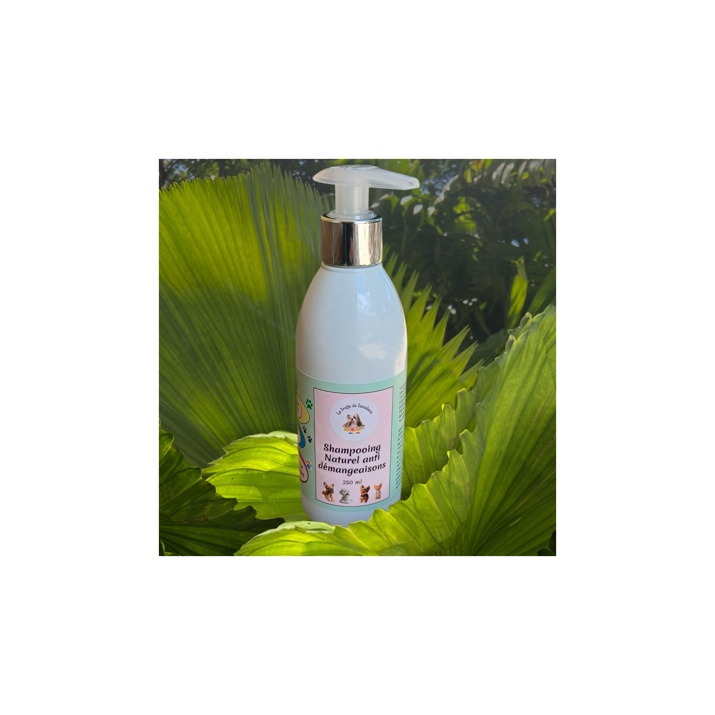 shampooing anti démangeaisons