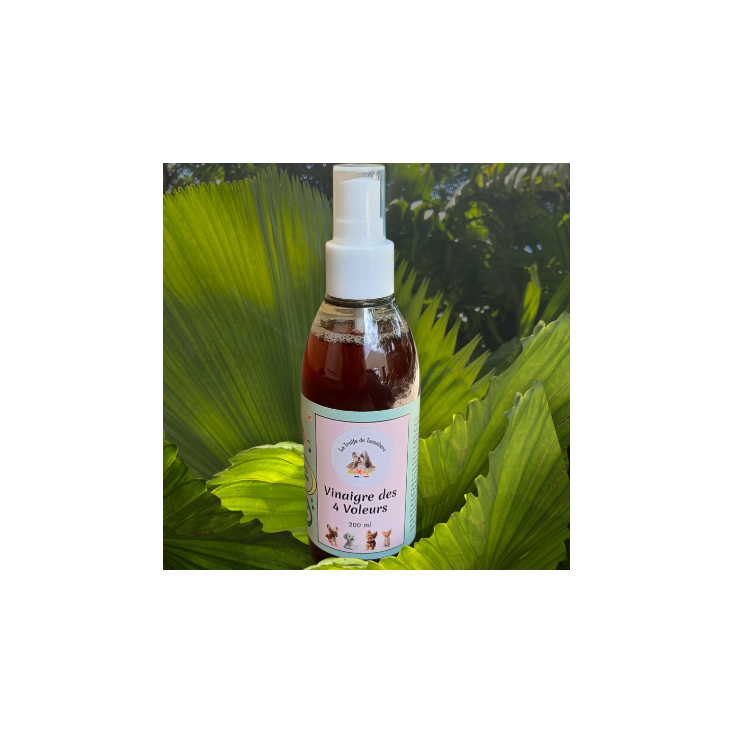 Vinaigre  des 4 voleurs