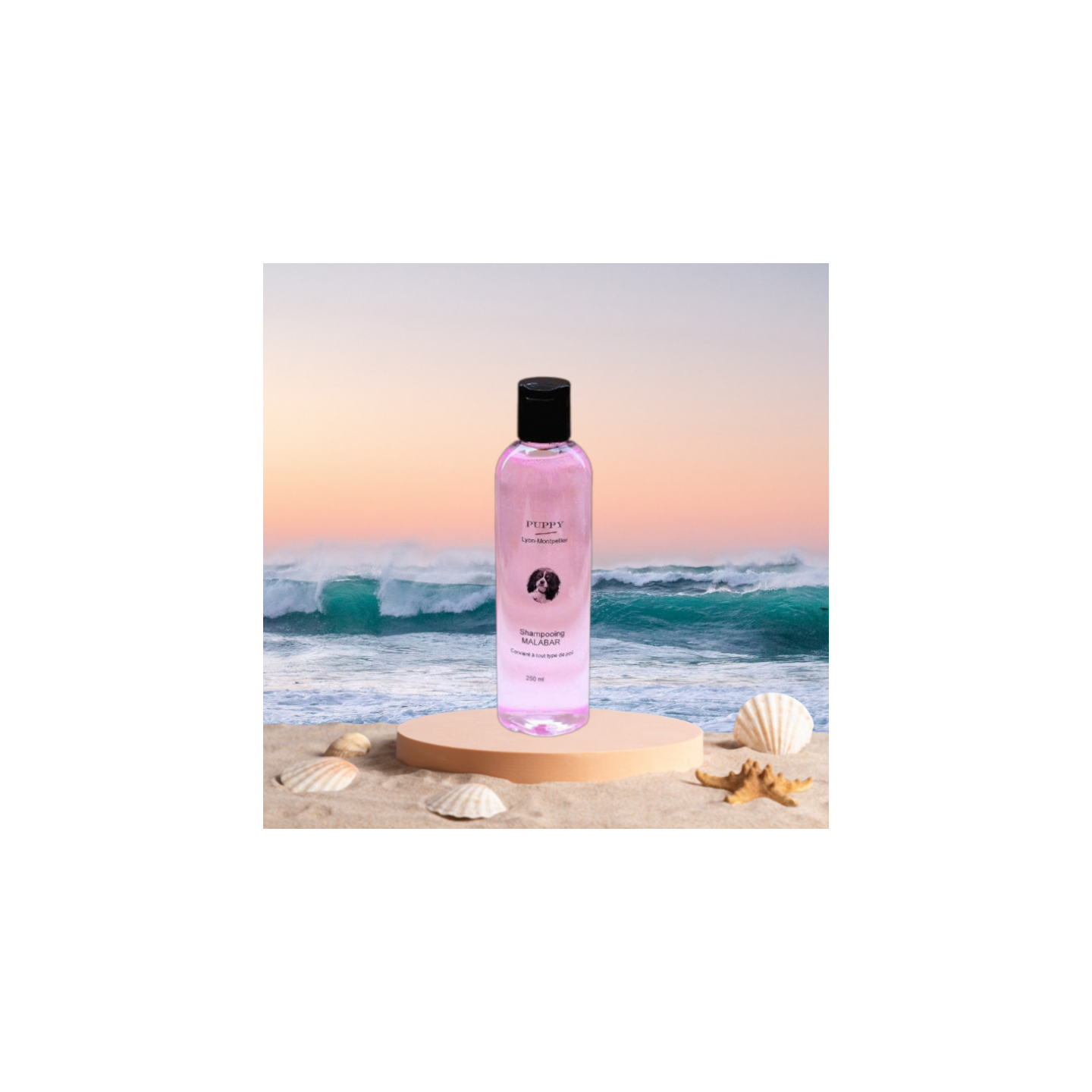 Shampooing  Malabar + Démélant Gingko Malabar  (parfum 8 ml OFFERT)