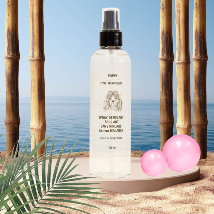 Shampooing  Malabar + Démélant Gingko Malabar  (parfum 8 ml OFFERT)