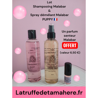 Shampooing  Malabar + Démélant Gingko Malabar  (parfum 8 ml OFFERT)