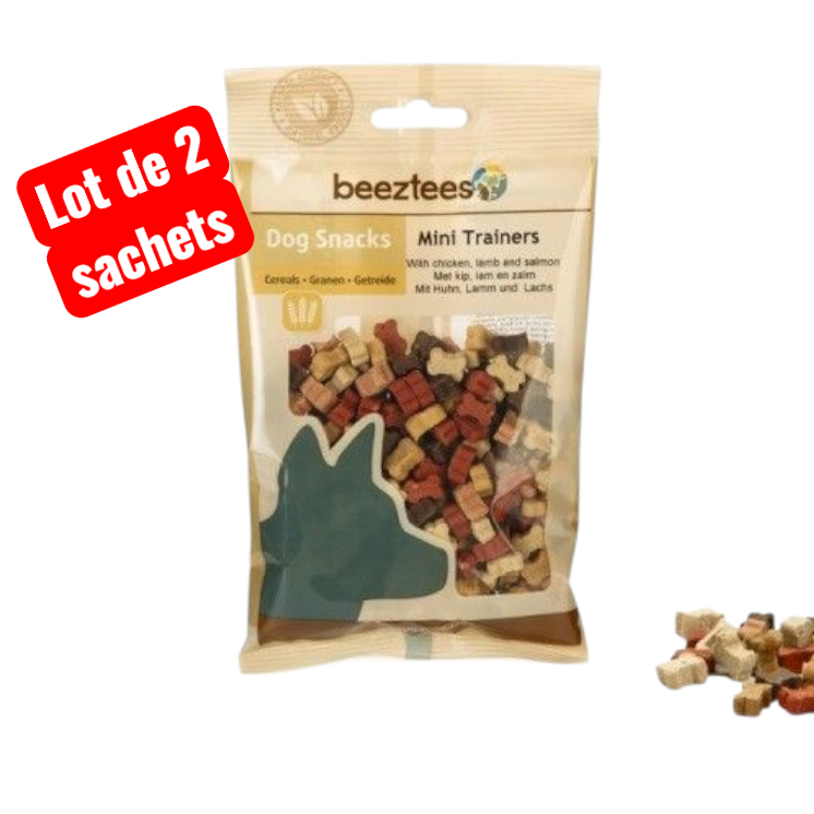 lot de 2 sachets   -   Mini Trainers   - BEEZTEES