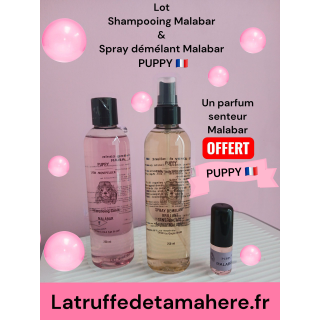 Shampooing  Malabar + Démélant Gingko Malabar  (parfum 8 ml OFFERT)