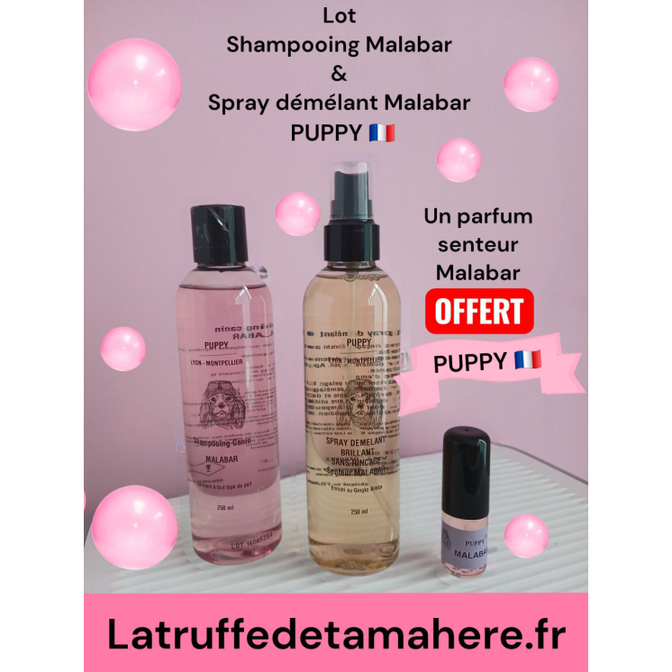 Shampooing  Malabar + Démélant Gingko Malabar  (parfum 8 ml OFFERT)