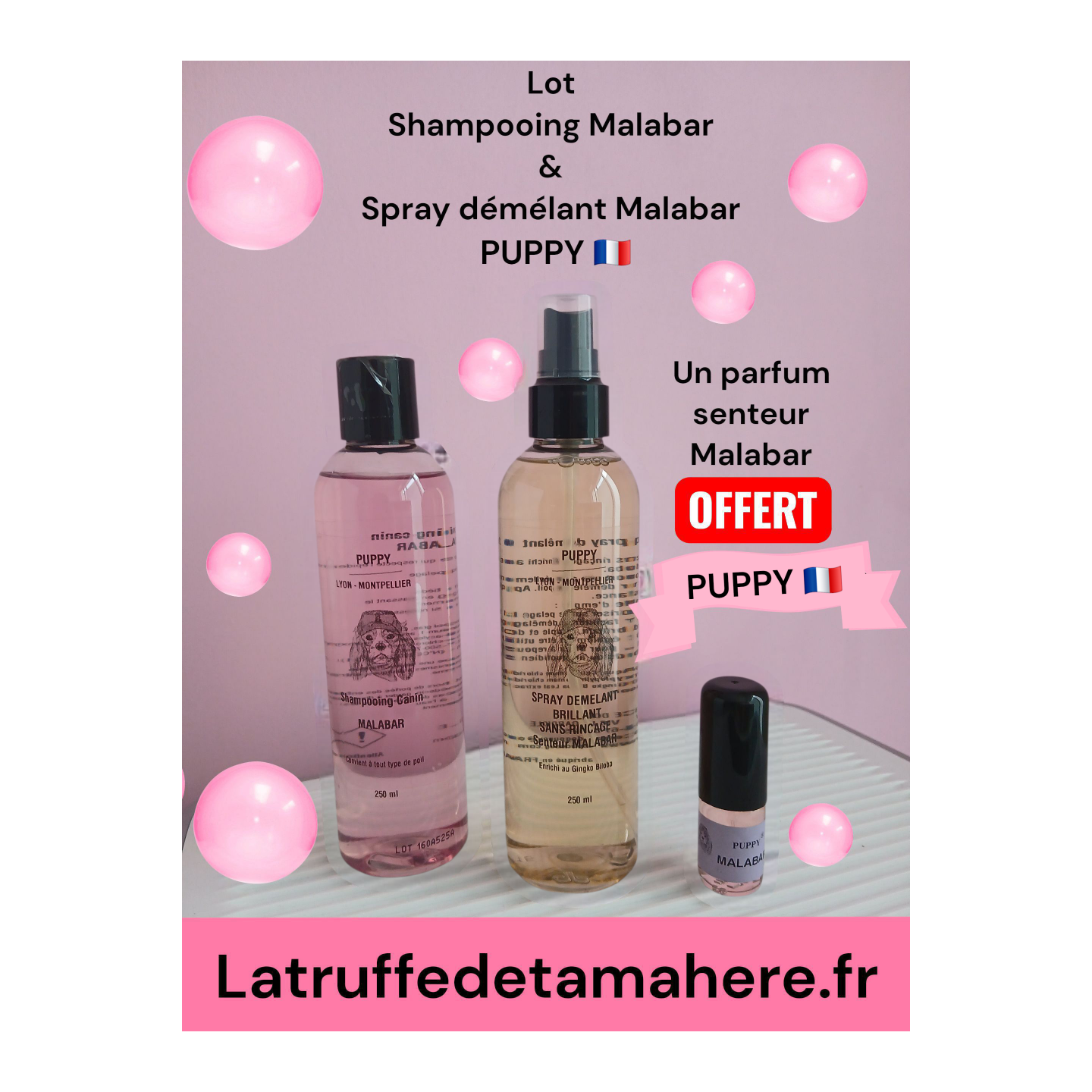 Shampooing  Malabar + Démélant Gingko Malabar  (parfum 8 ml OFFERT)