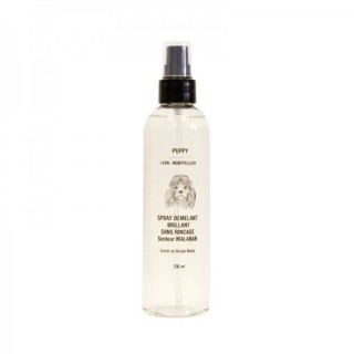 Lotion Démêlante GINGKO Senteur Malabar - PUPPY