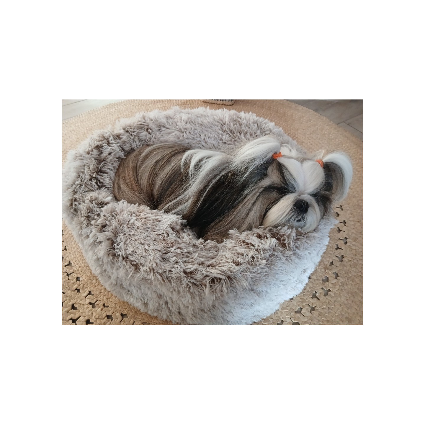 Coussin Poilu Beige - BOBBY