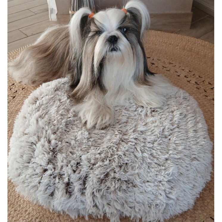 coussin  Poilu  Beige  -  BOBBY