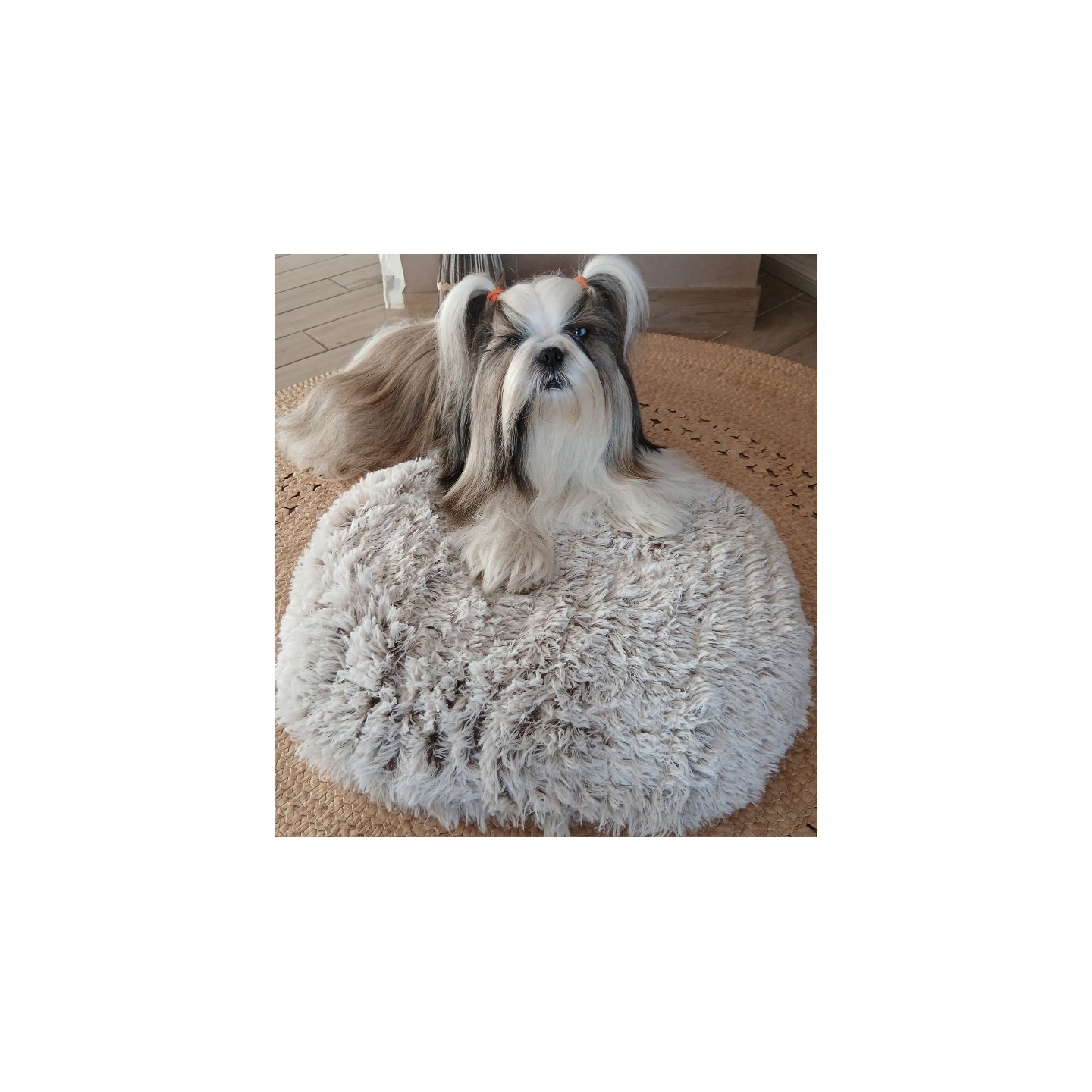 coussin  Poilu  Beige  -  BOBBY