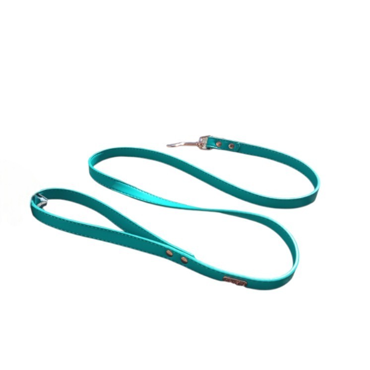 Laisse simili summer Vert    -  DOOGY