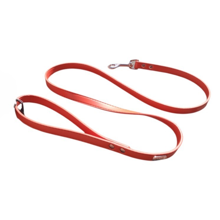 Laisse simili summer Orange    -  DOOGY