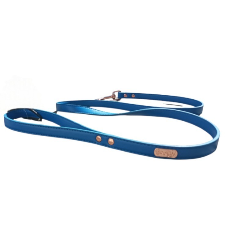 Laisse simili summer Bleue  -  DOOGY