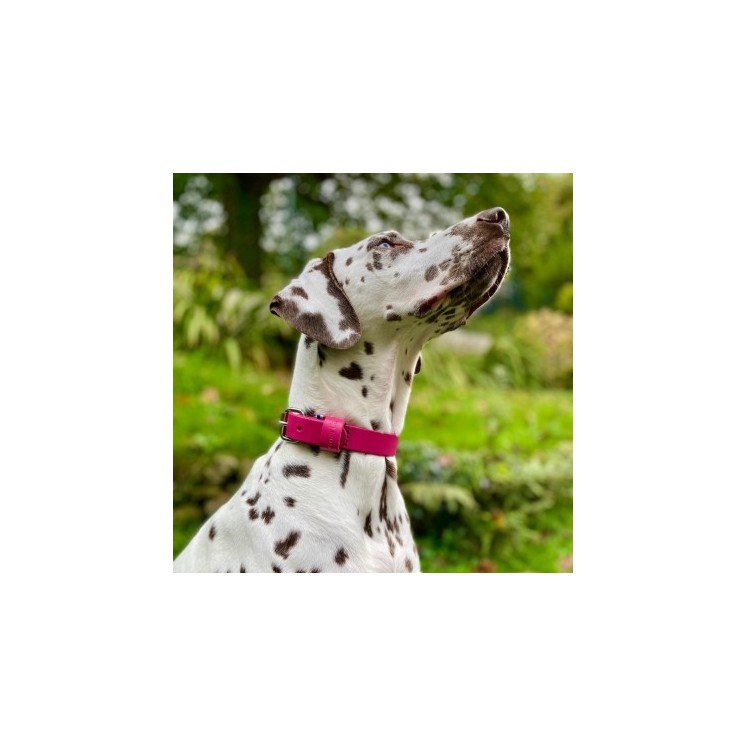 Collier en cuir pleine fleur Rose  - MARTIN SELLIER